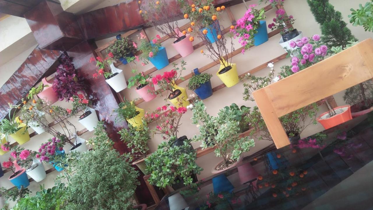 Shalom Inn Home Stay Darjeeling  Dış mekan fotoğraf